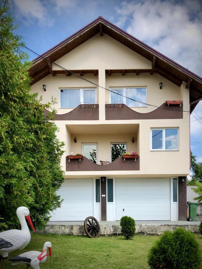 Casa Paunescu Milostea Exterior foto